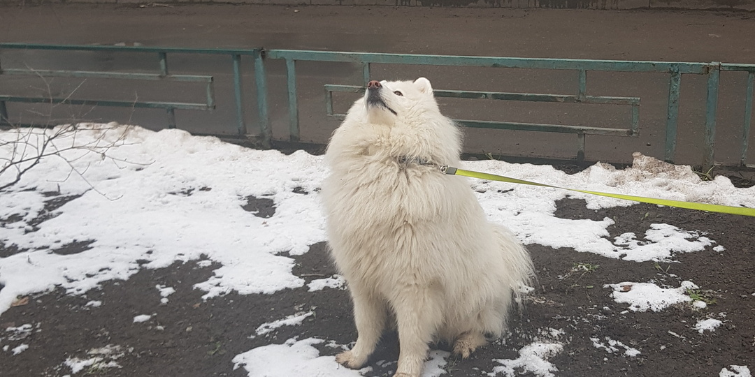 Однажды утром