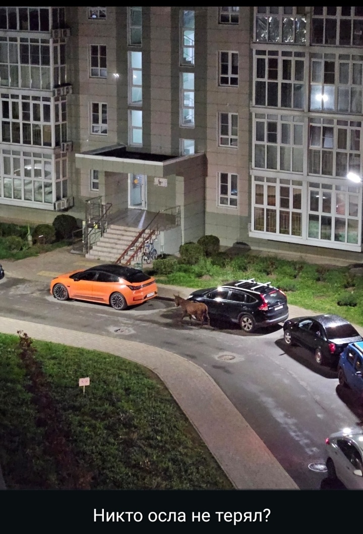 Скриншот нашего чата