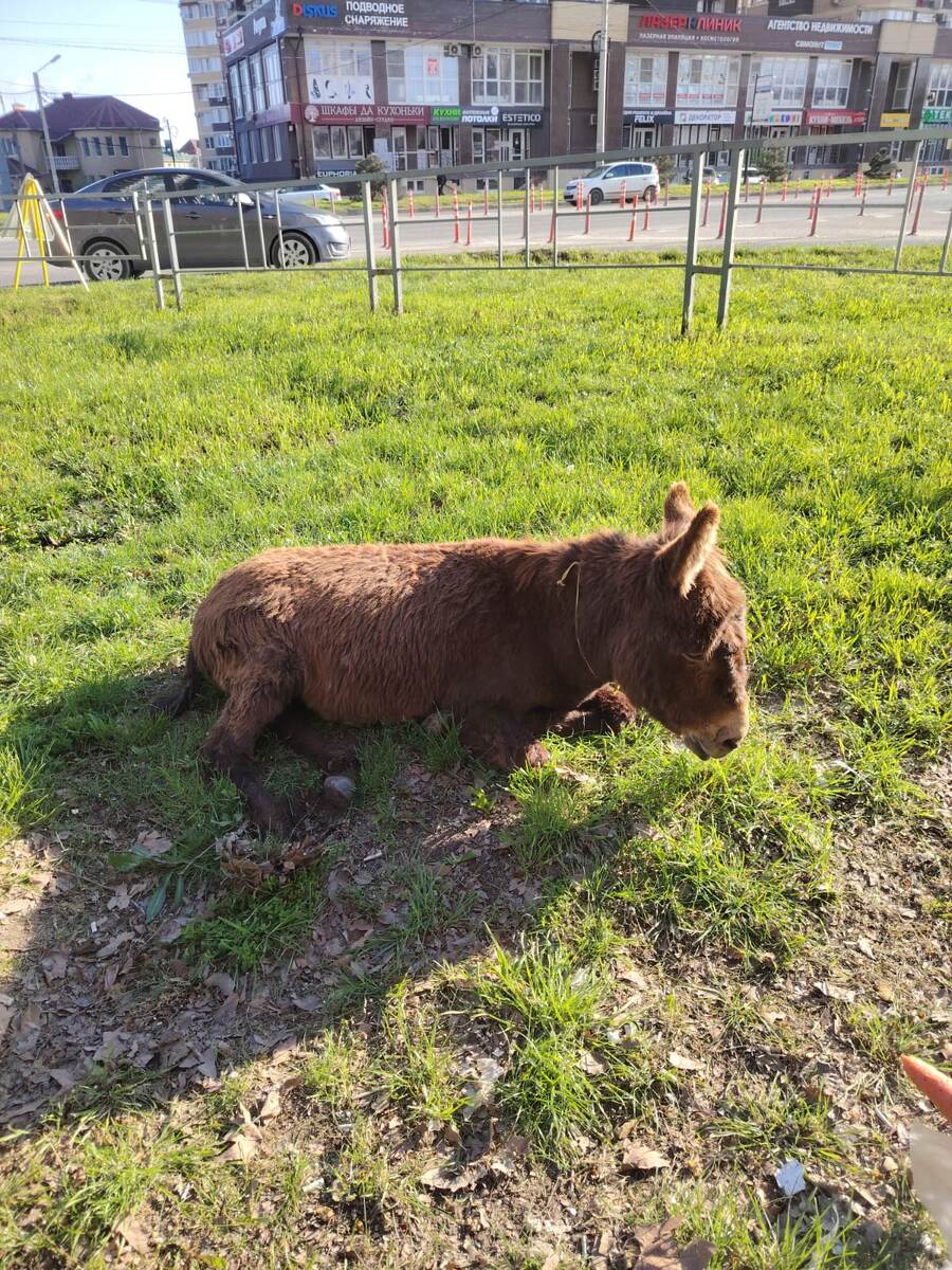 Фото из телеграм канала