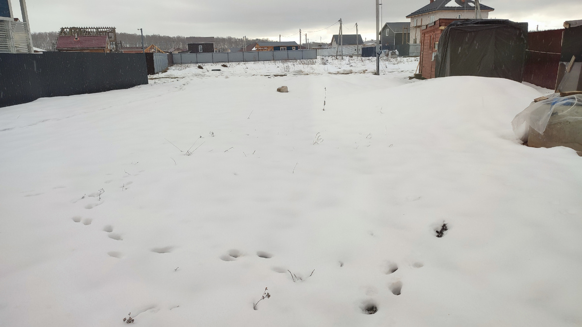 Это не похоже на следы медведей, можно выходить на улицу😀