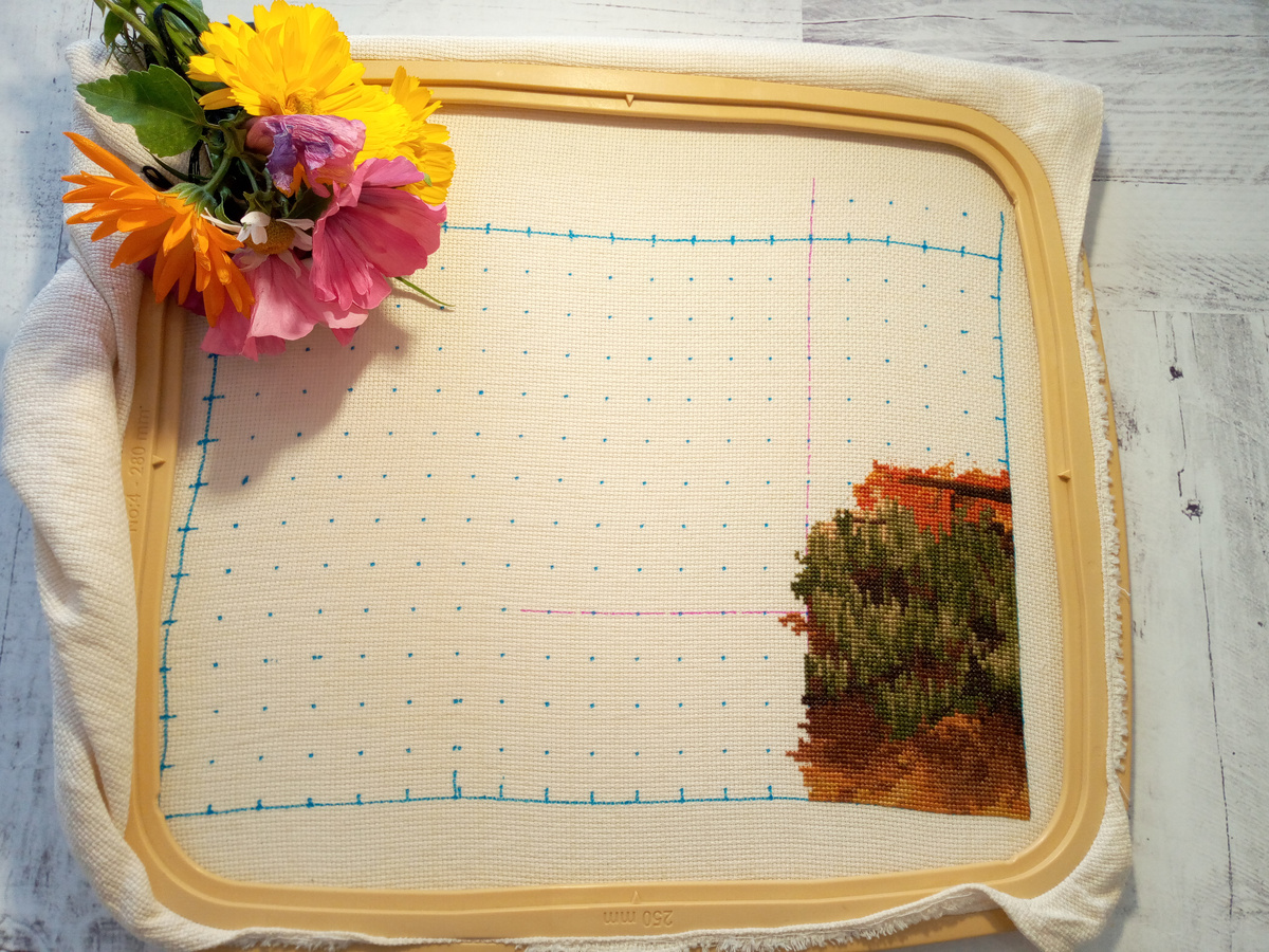 Первые крестики