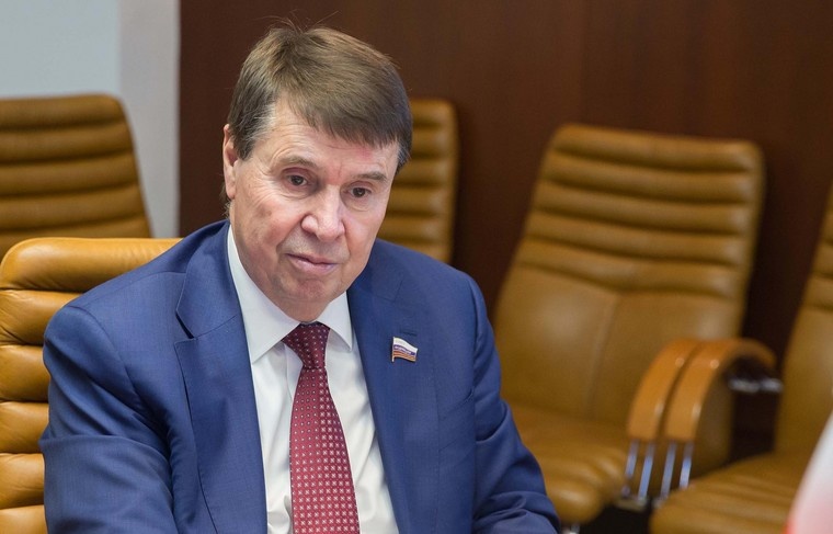    Federation Council of Russia/Global Look Press