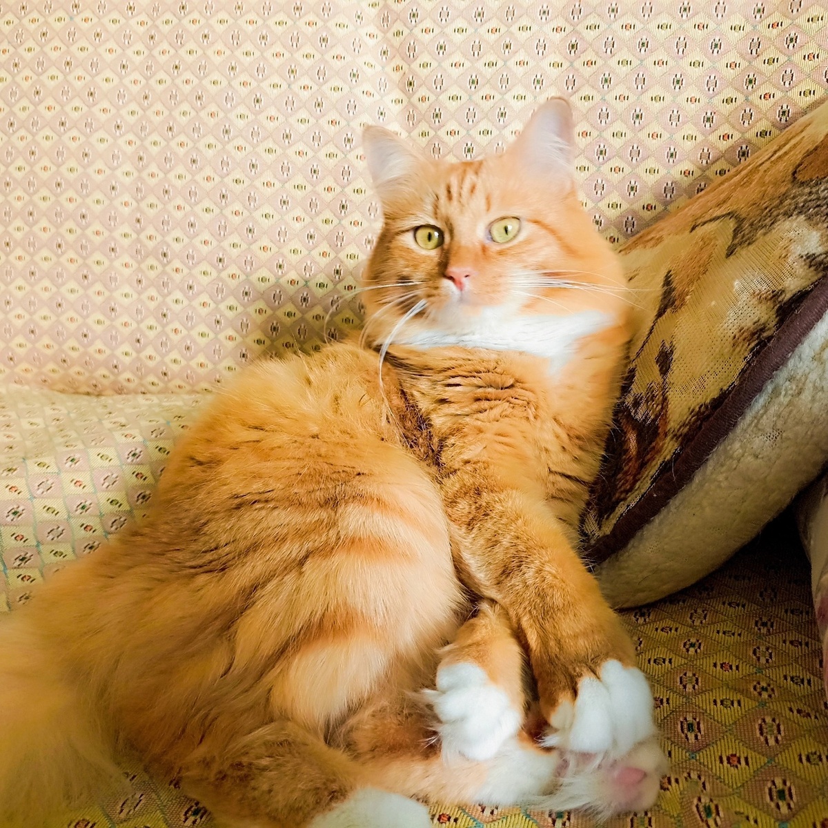 иллюстрация из яндекс картики.