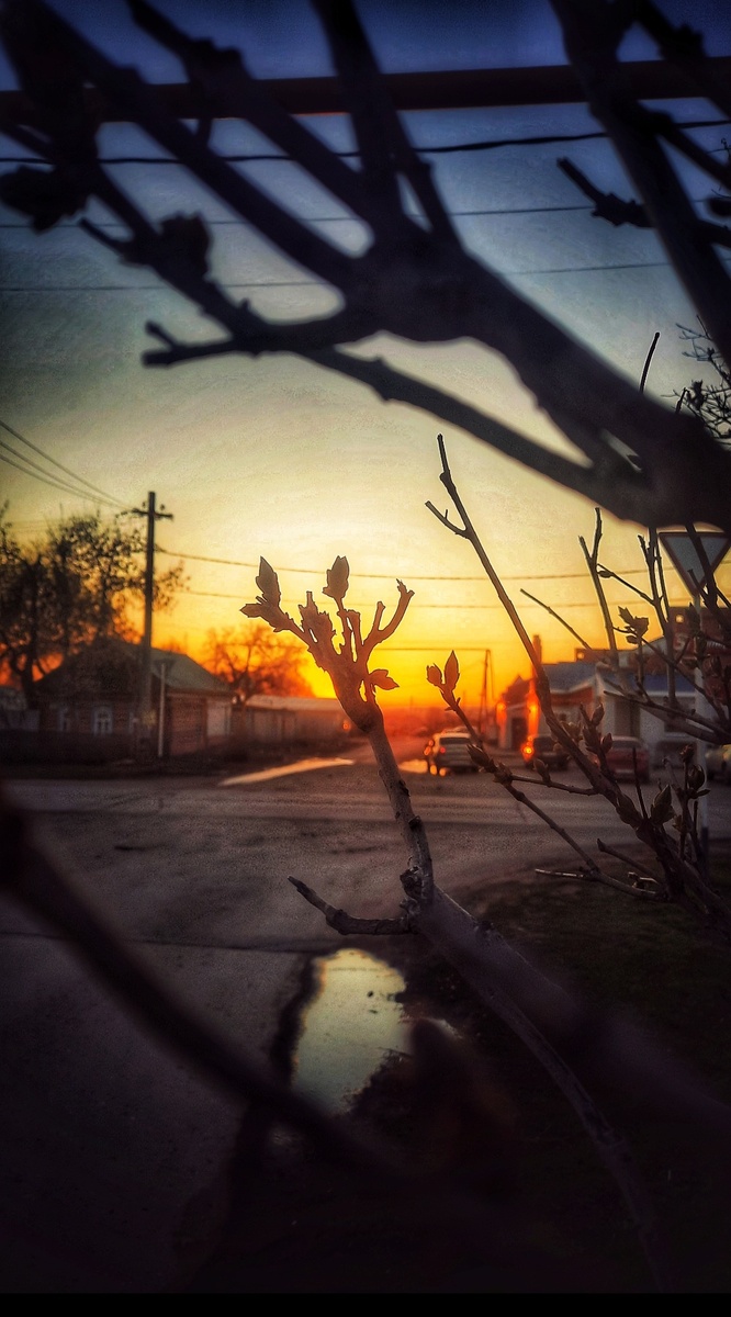 Моё фото в обработке