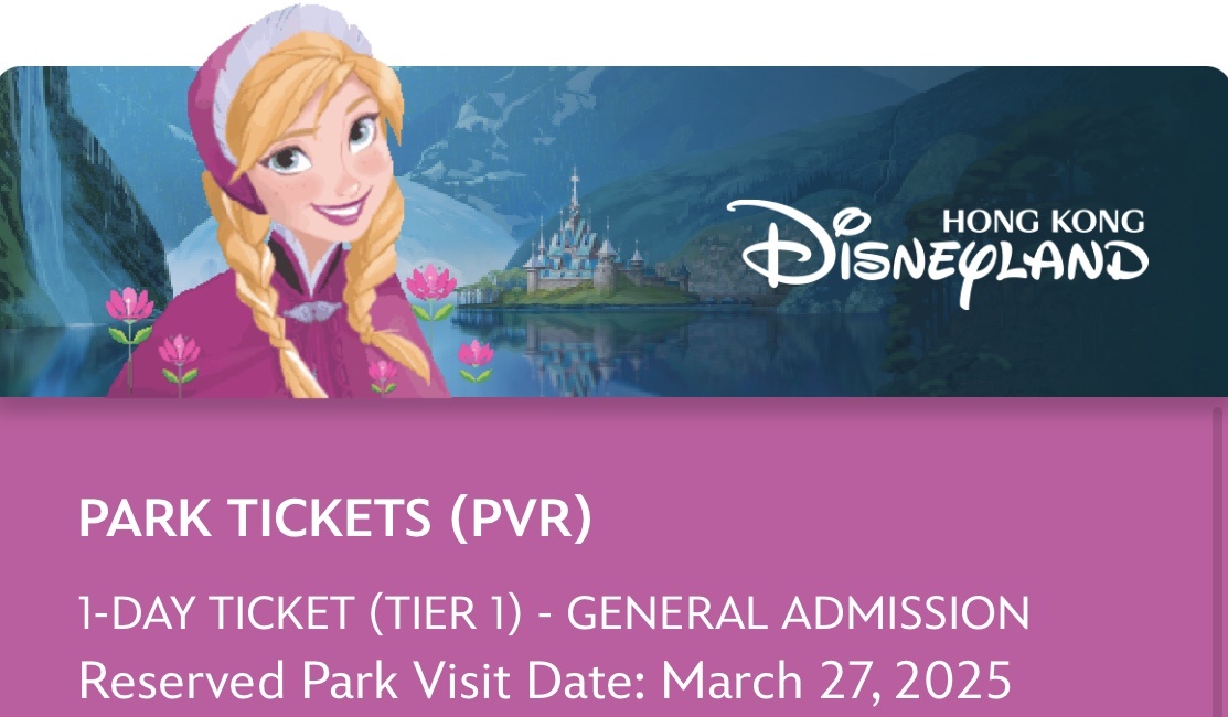 Кусочек нашего электронного билета