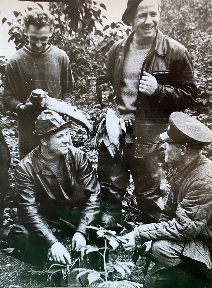 Фото №1 . В кустах