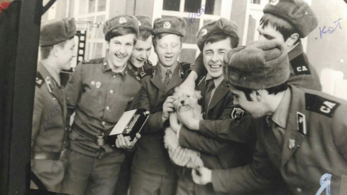 С музоном всегда веселей...