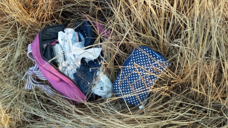 Вещи девочки, которые были найдены в болоте (фото из общего доступа в интернете)