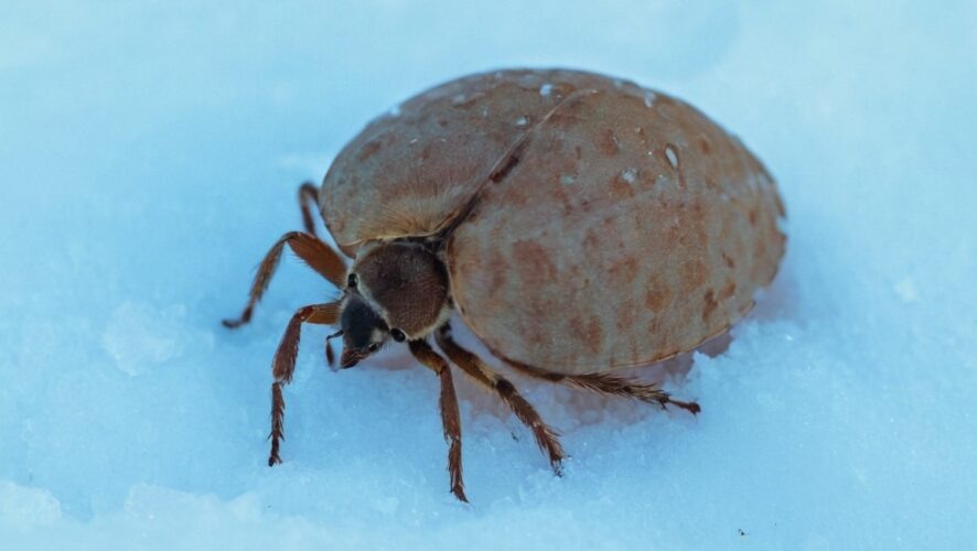    Фото: создано ИИ