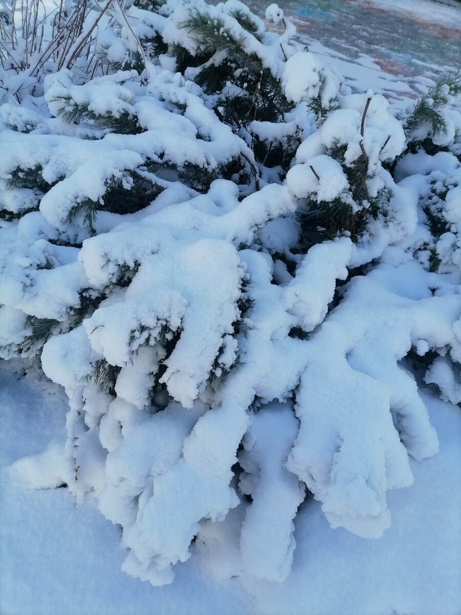 11 АПРЕЛЯ ЕКАТЕРИНБУРГ.