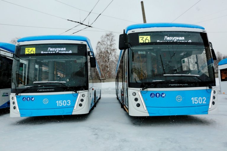    Фото: мэрия Новосибирска Илья Федоров