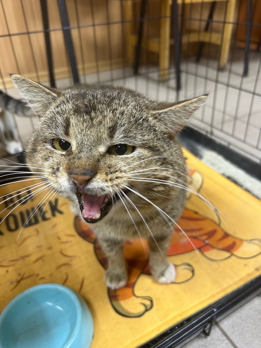 Теперь с Ёжиком все будет хорошо