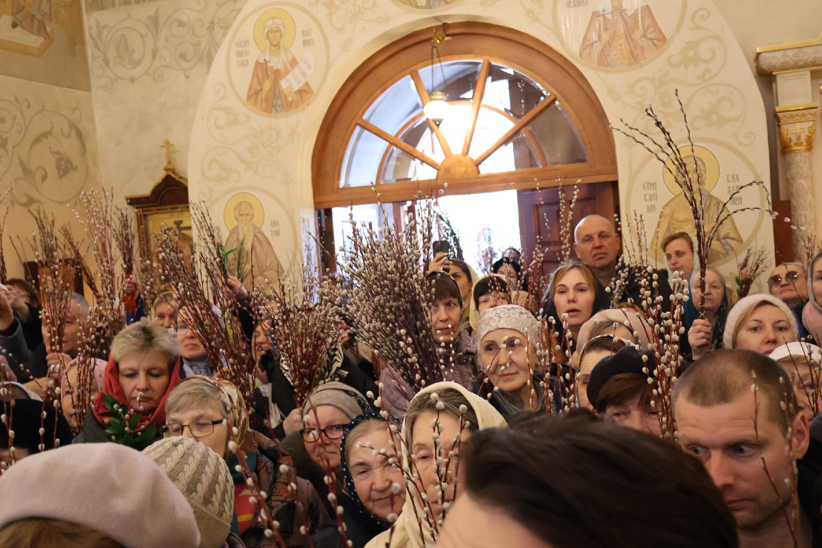 Листайте галерею