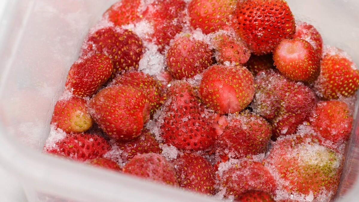 Фото из яндекс картинки