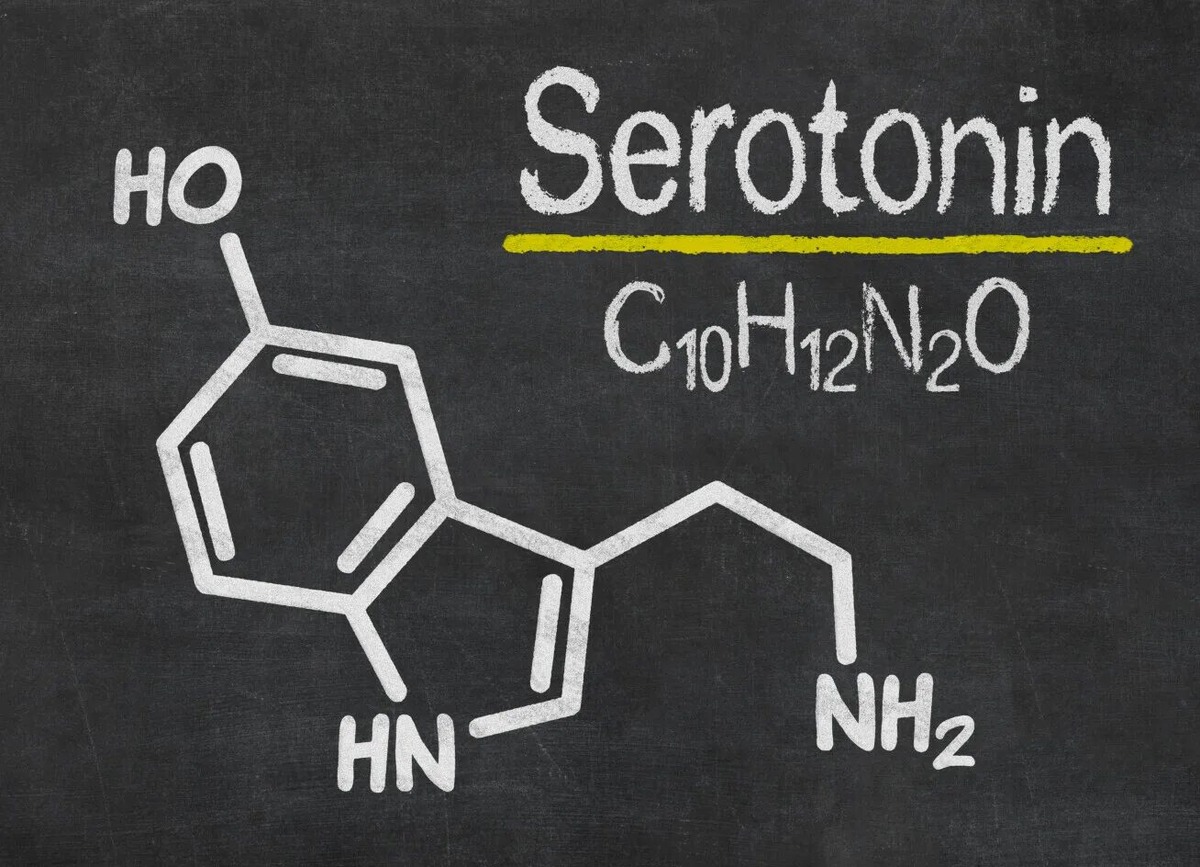 Серотонин — это нейромедиатор, который влияет практически на все системы организма. В мозге синтезируется всего около 5% серотонина, а большая его часть, порядка 80–90% — в кишечнике.