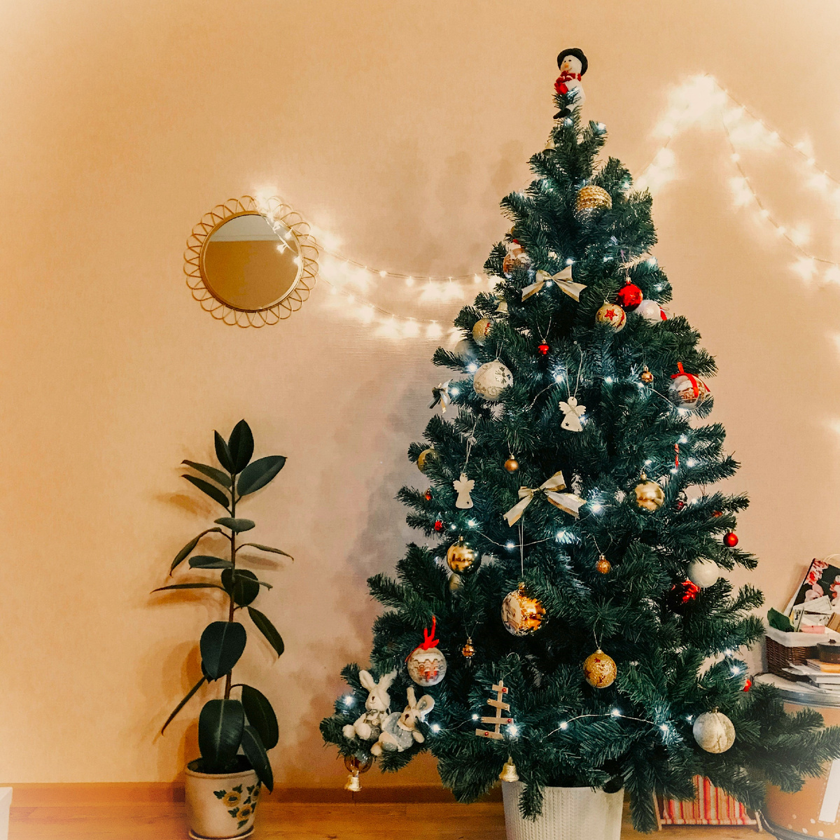 Ёлки напрокат