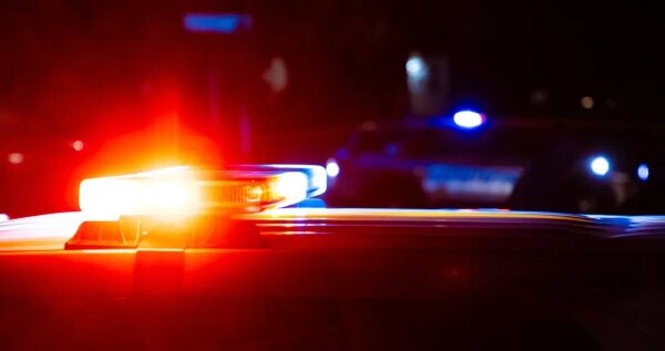 Обложка © Shutterstock / FOTODOM / Ajax9