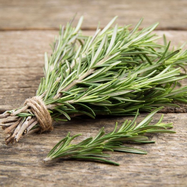 Розмарин: зелёный мастер ароматов и неожиданных комплиментов на ужин