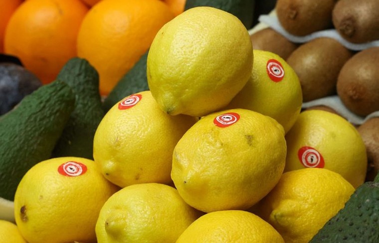    Сергей Петров/NEWS.ru