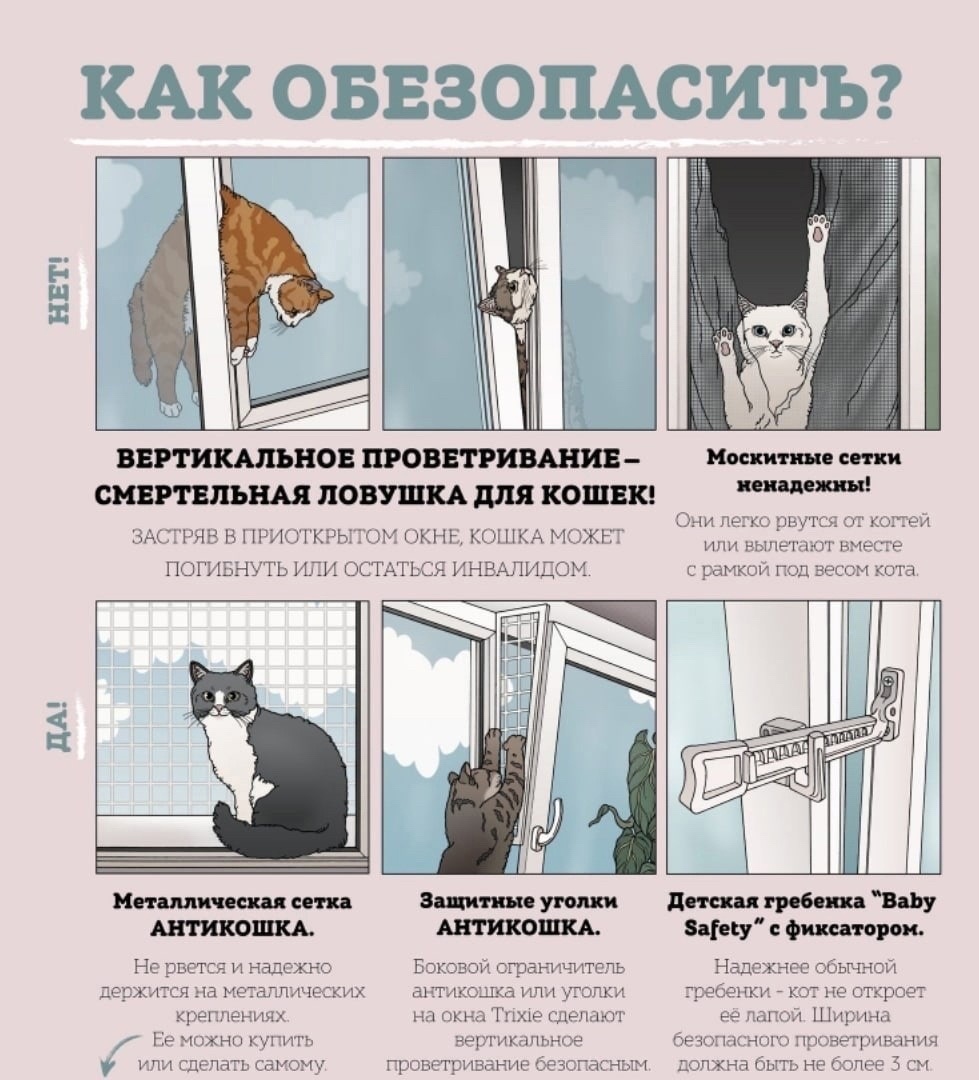 Фото из поисковой системы Яндекс