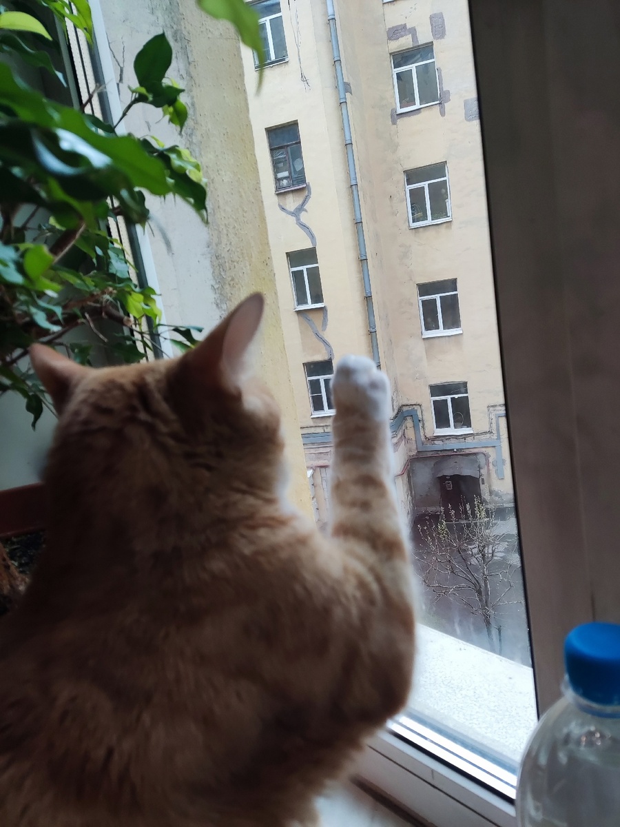 Фото автора