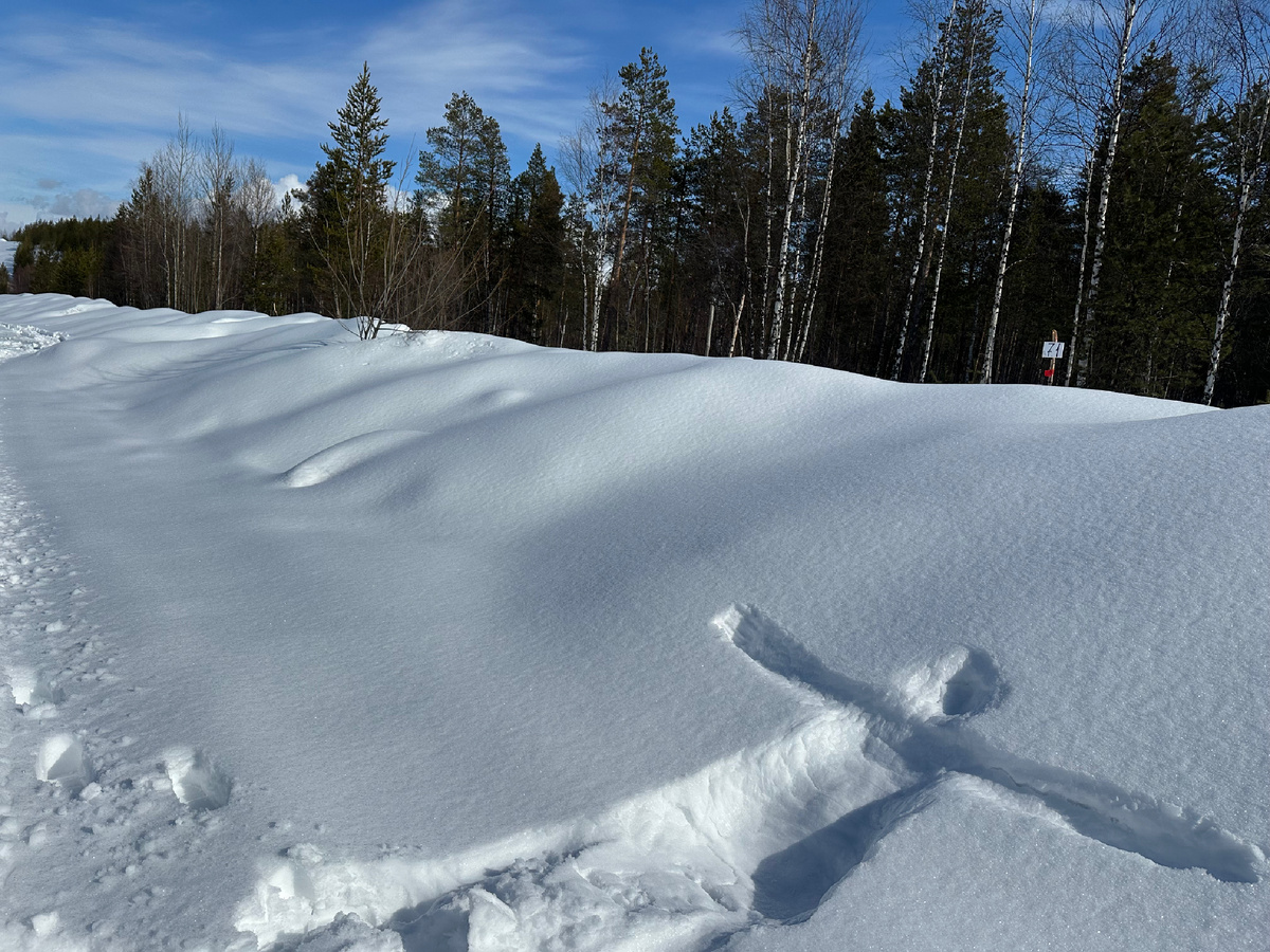 Отпечаток мой на снегу.