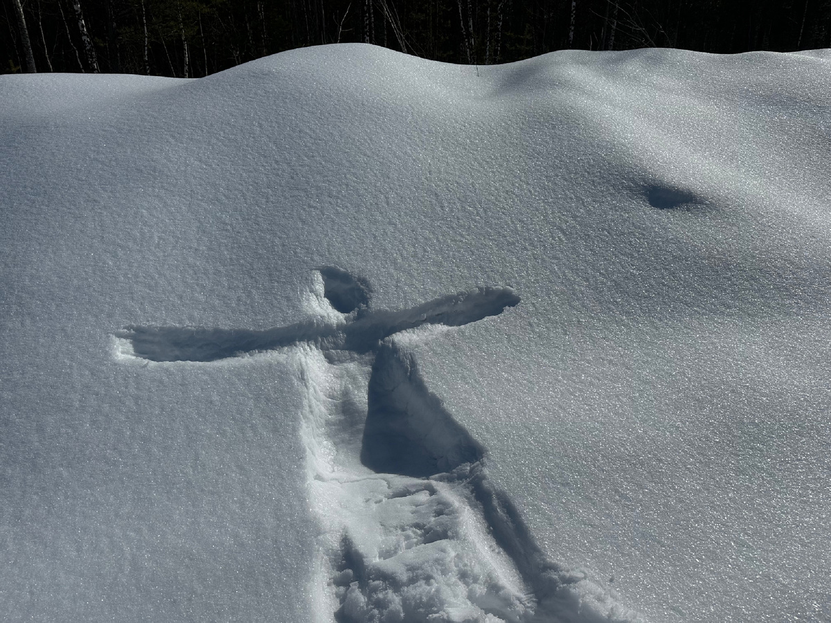 Отпечаток меня в сугробе.