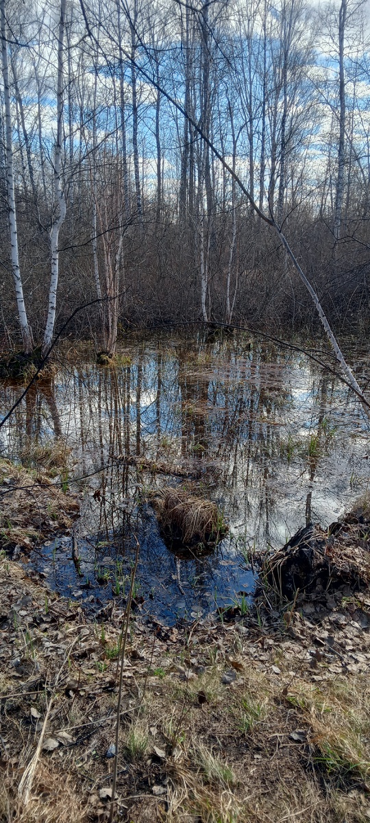В воскресенье было солнечно, но ветрено