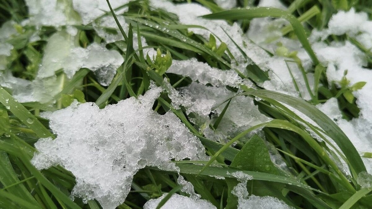    Фото: телеканал «Краснодар»