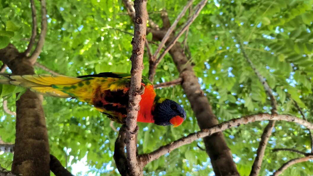    Maksim Konstantinov/Global Look Press/Globallookpress