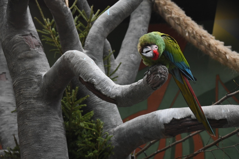    ФОТО: Komsomolskaya Pravda/Global Look Press