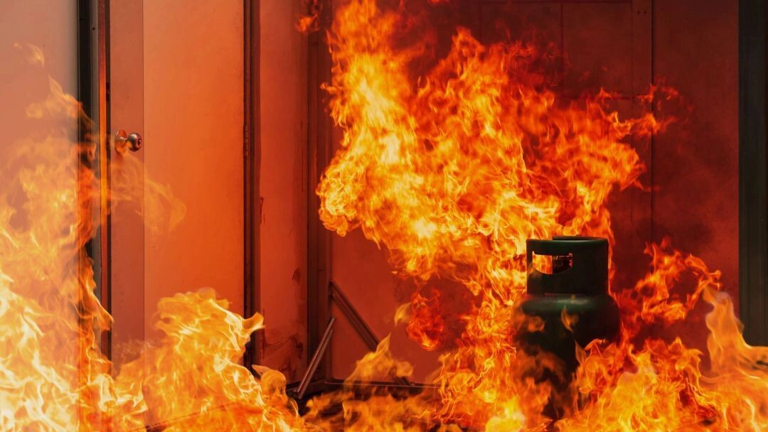    Фото: Platoo Studio/Shutterstock/Fotodom