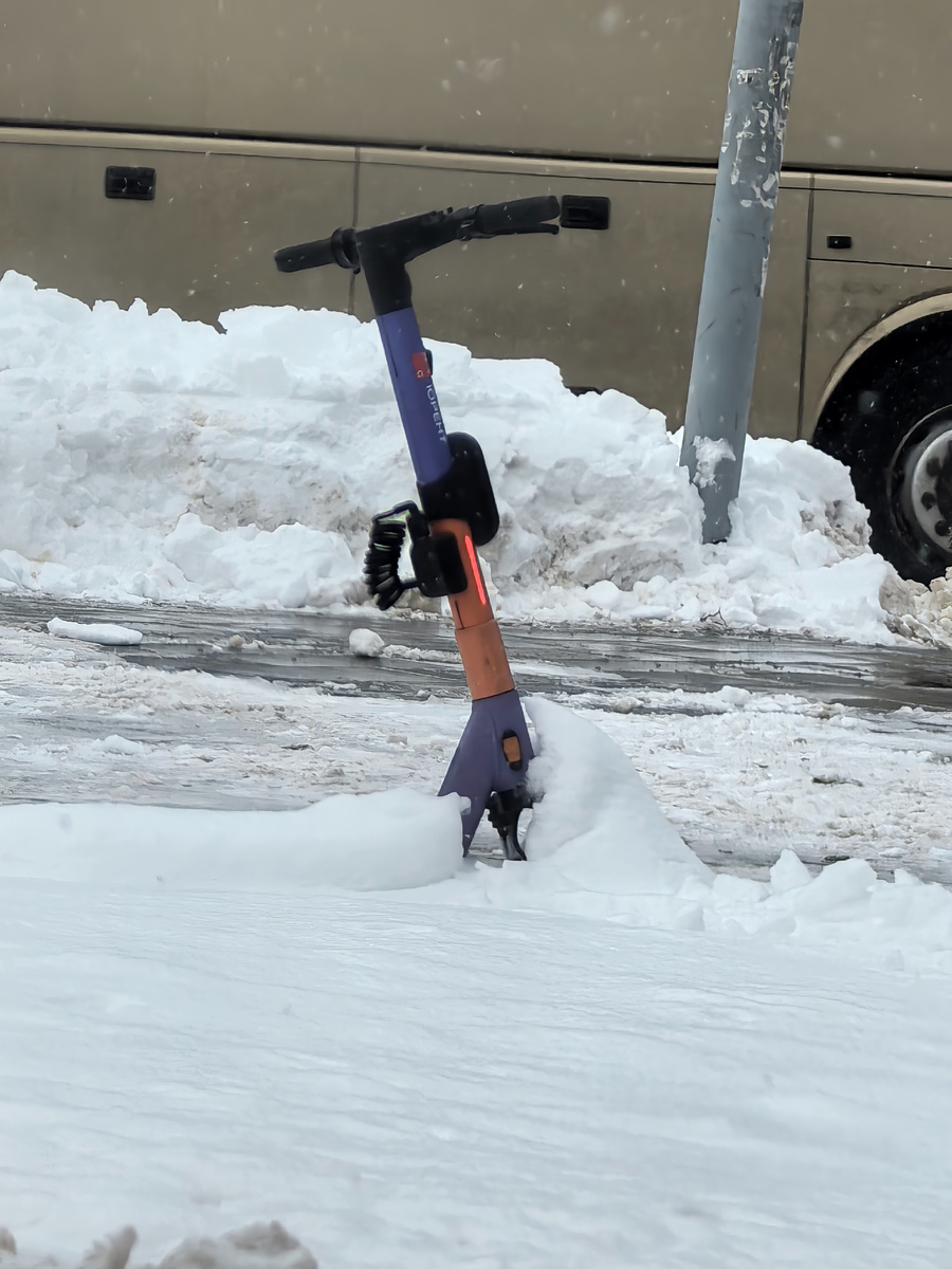 Самокат-подснежник