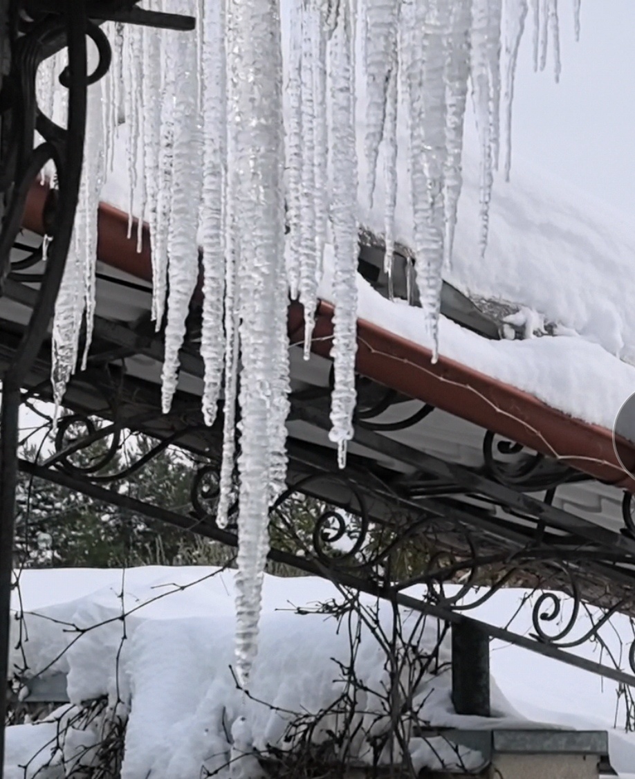 В этом году можно наблюдать апрельскую капель