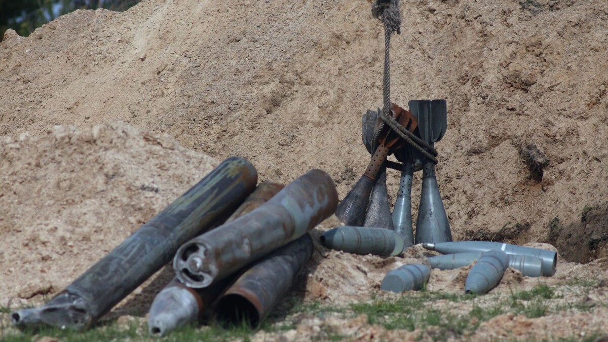    Фото: telear/Shutterstock/Fotodom