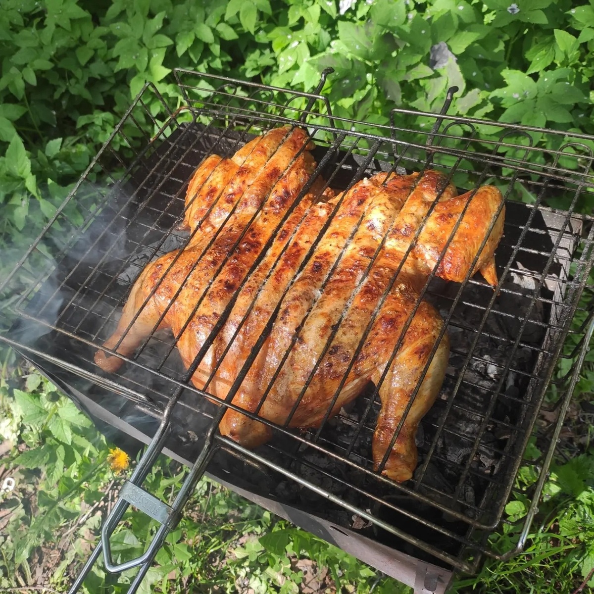 Обожаю курочку на углях