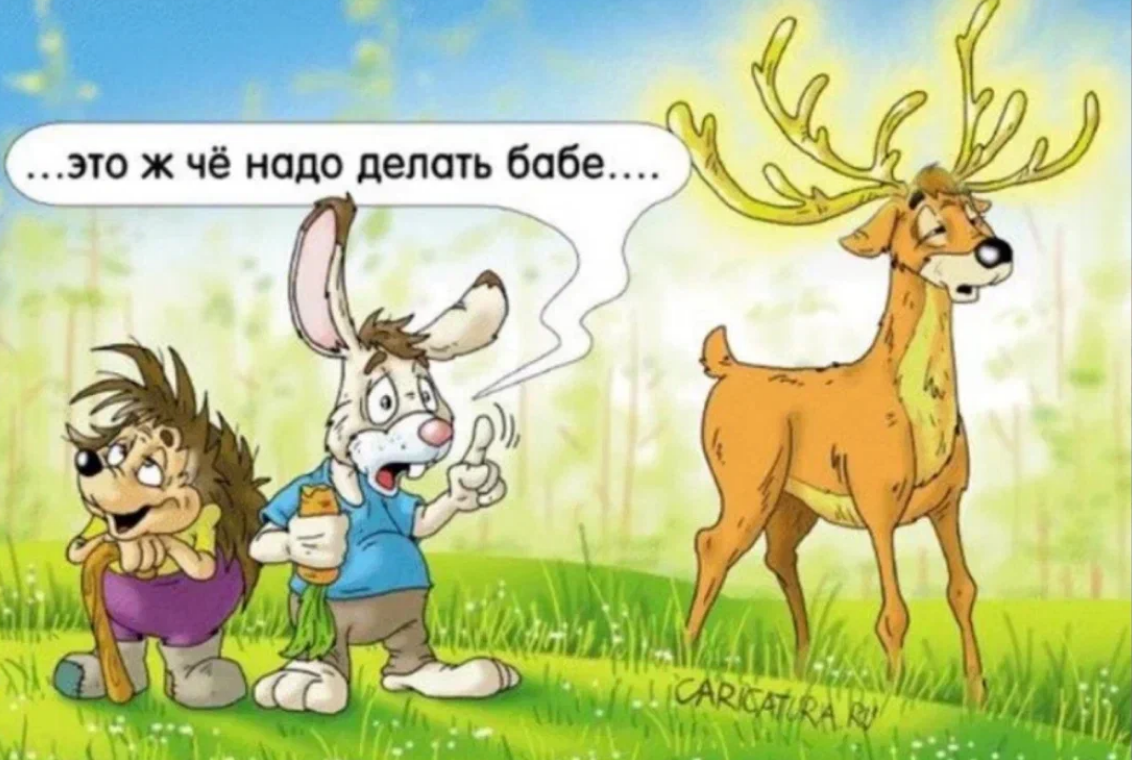 Из открытых источников.