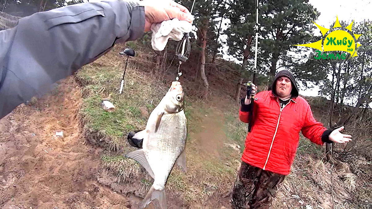 рыбалка на донки весной