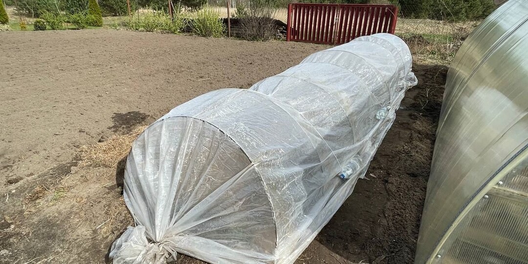 Пленку с парника не сорвет даже штормовой ветер – благодаря трюку с бутылками