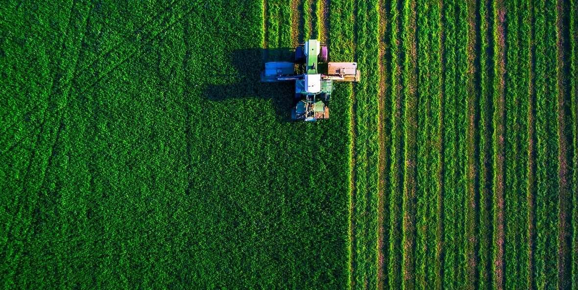 Фото из открытых источников.