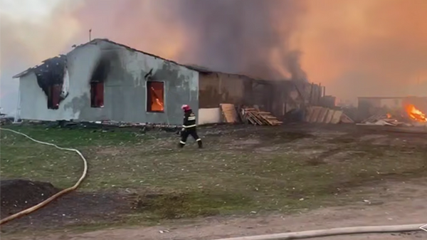    © Photo : Telegram / МЧС Беларуси