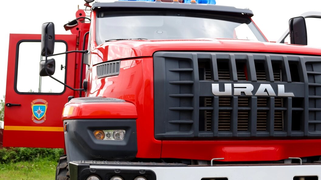    Elena Mayorova/Global Look Press