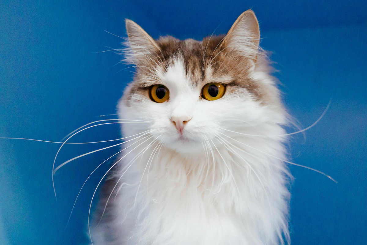 Красота в глазах смотрящего