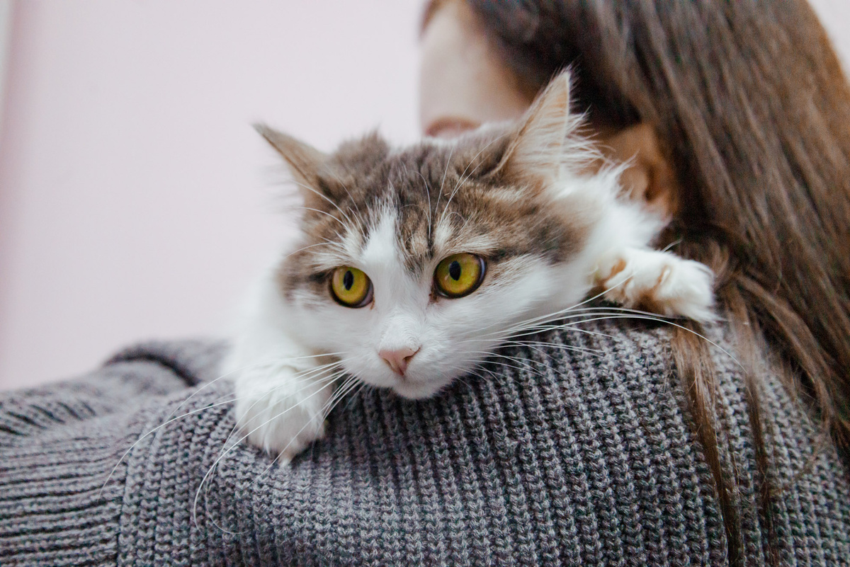 Здесь подозрительно вкусно пахнет