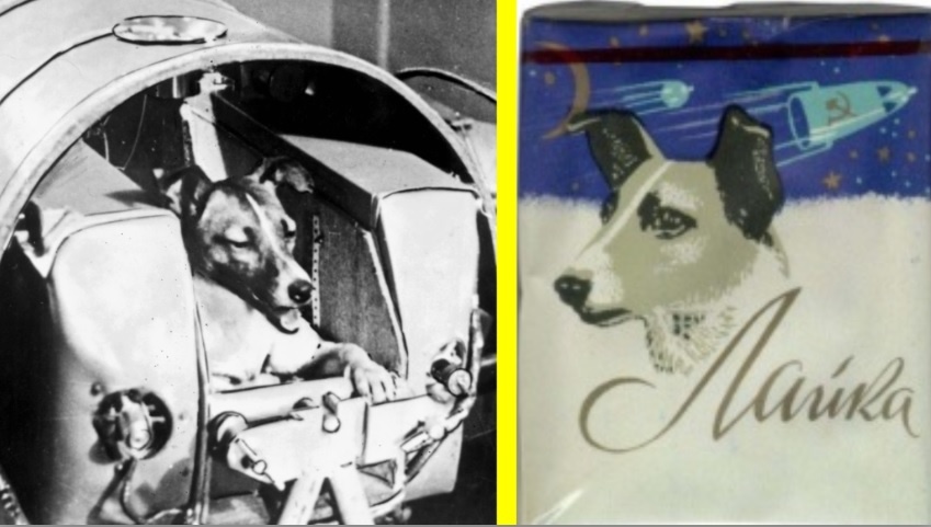 Собака-космонавт Лайка в космическом аппарате и на сигаретной пачке
