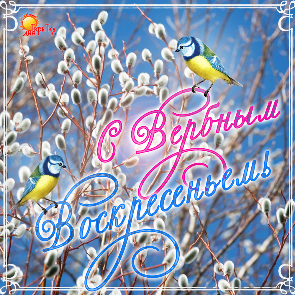 Открытка с Вербным Воскресеньем!