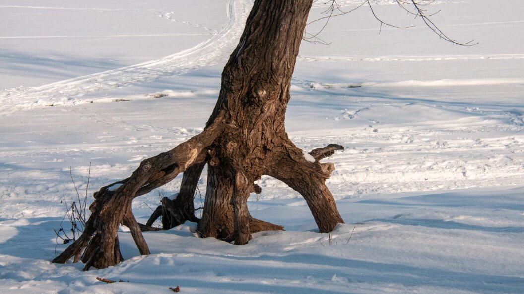    Svetlana Vozmilova/Globallookpress