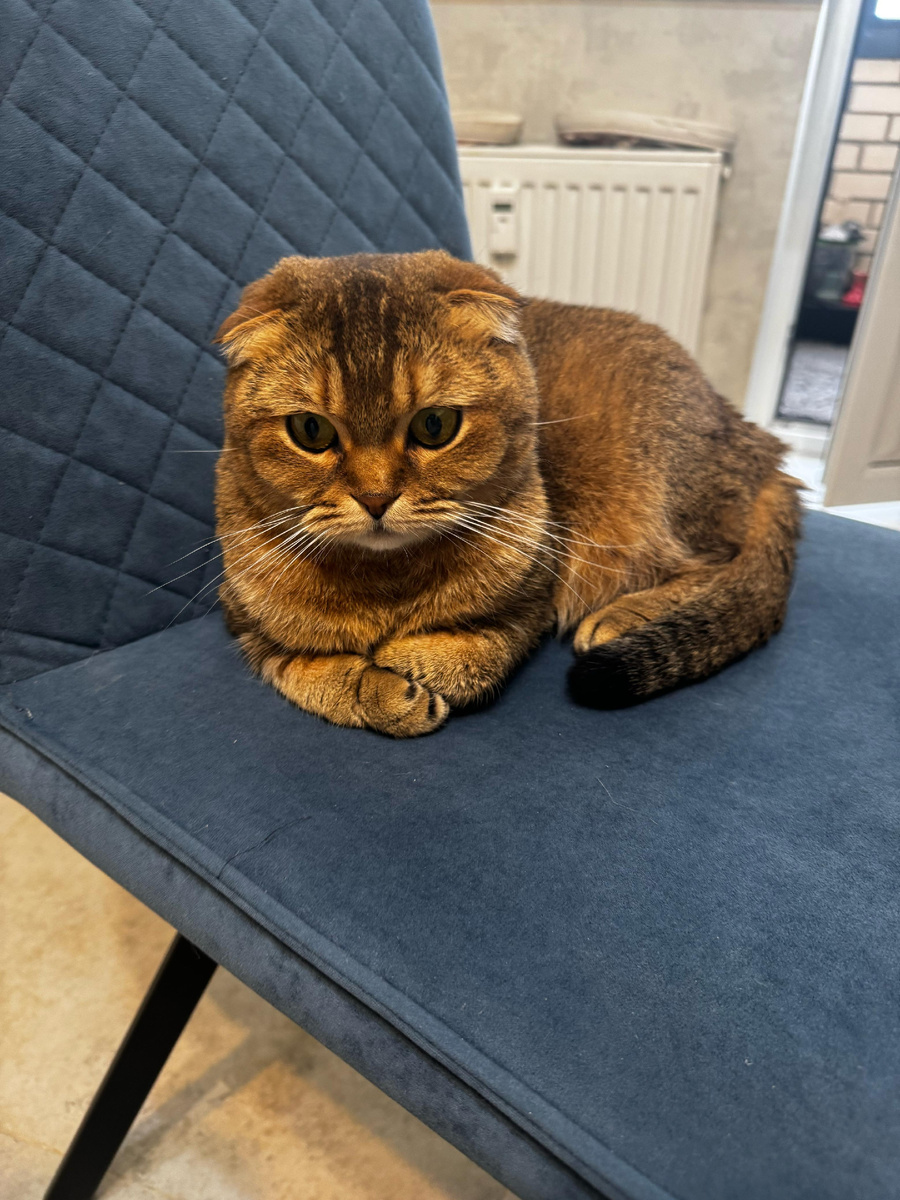 Мэй Ли (из личного архива)