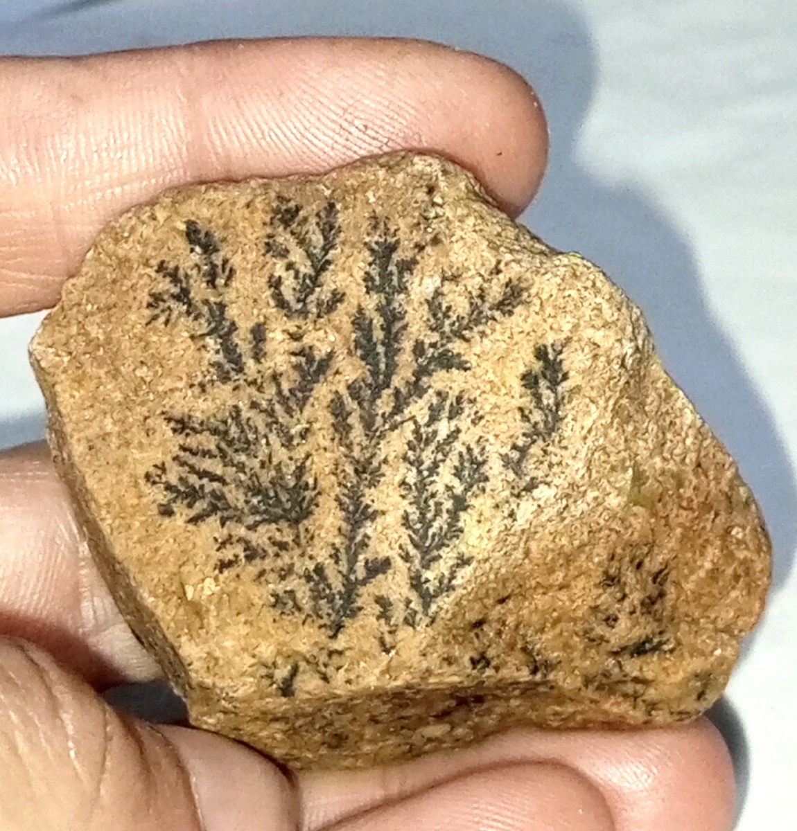 Находка Жанны. Оксиды марганца по известняку или песчанику