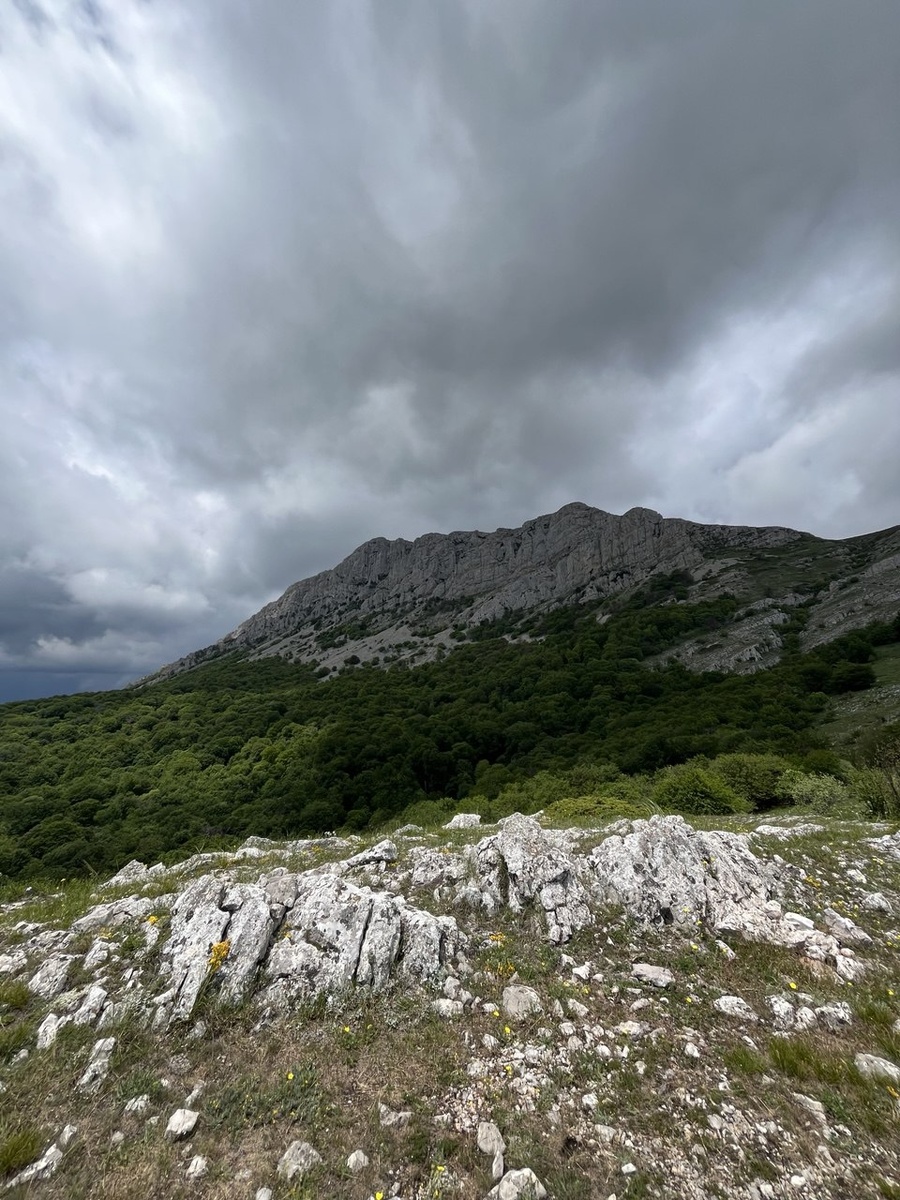 Вид с подножья на на вершину Чатыр-Дага